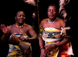 Afryka w sercu Śląska