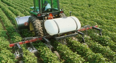 Nigerian agric engineers says Nigeria’s problems are not beyond Nigerians