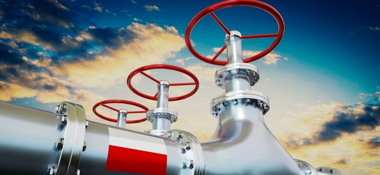 Wzrost cen gazu. Rzecznik PiS: Podjęliśmy wiele działań...