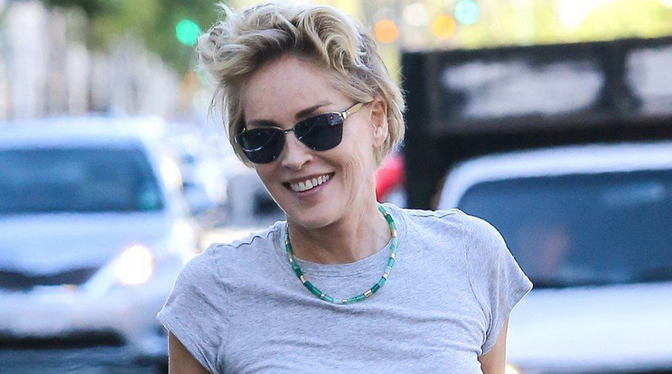 Sharon Stone - Fotó:Profimedia-Reddot