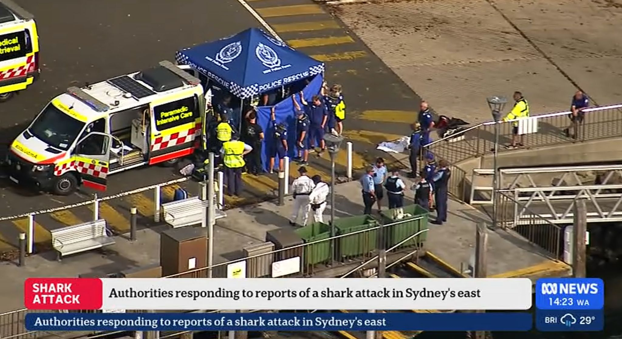 13-Jähriger bei Hai-Angriff in Sydney lebensgefährlich verletzt