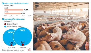 Schabowy pozostanie drogi, bo pogłowie świń zmalało