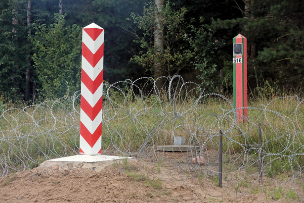 Ciało znajdowało się na terenie leśnym. Policja podała, że znalazł je pracownik zakładu usług leśnych.