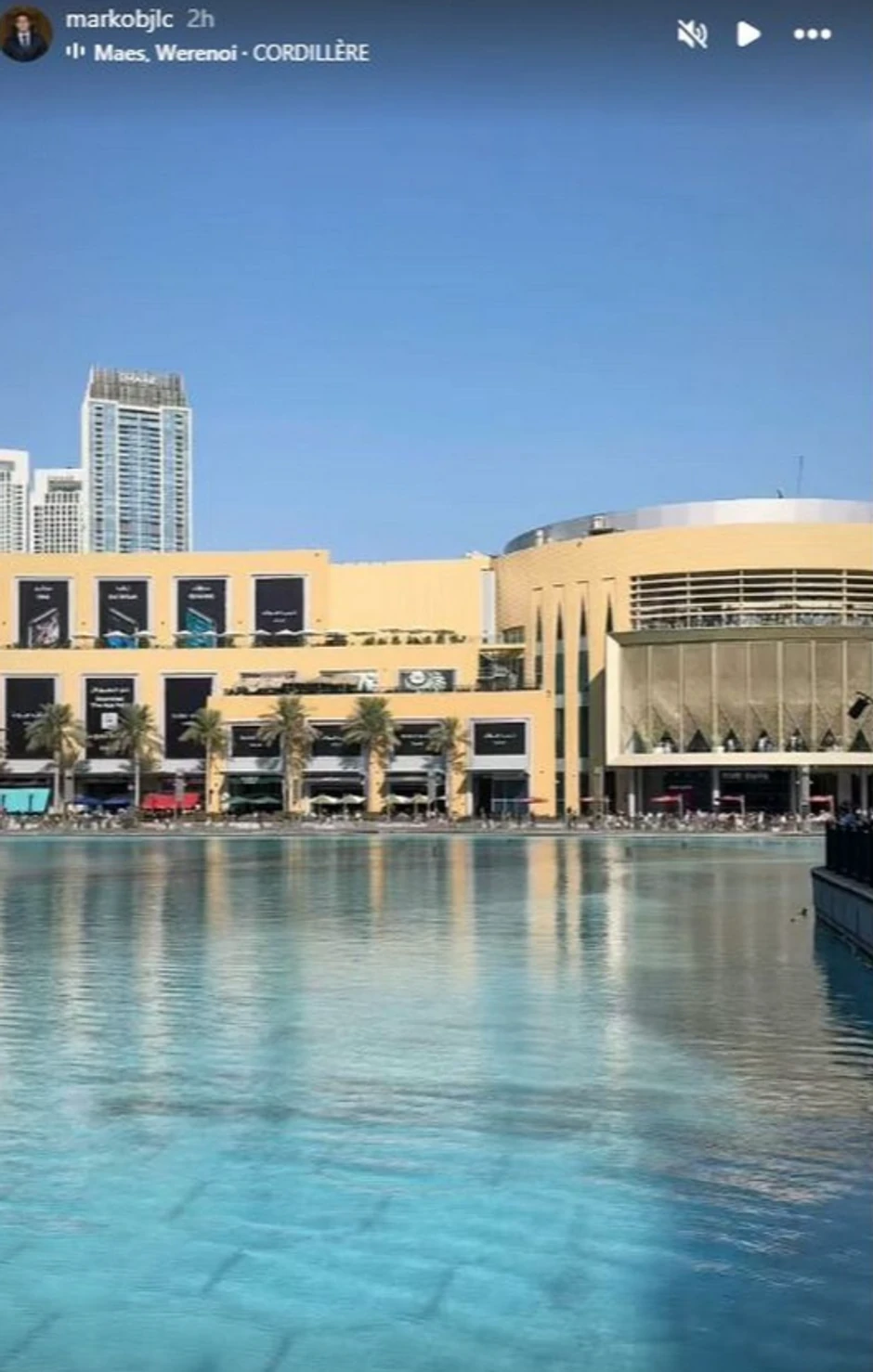 Marko Bijelić, objava