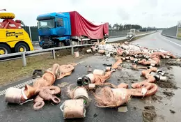 Ciężarówka tak rąbnęła w bariery, że aż szpule wypadły na drogę. Ekspresówka zablokowana