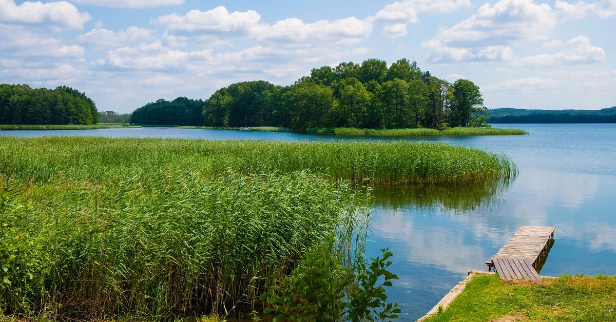Historyczna wyspa pod Olsztynem jest na sprzedaż. Każdy może ją kupić. Cena zaskakuje