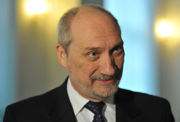 Macierewicz udowodni, że brzoza nie łamie skrzydeł