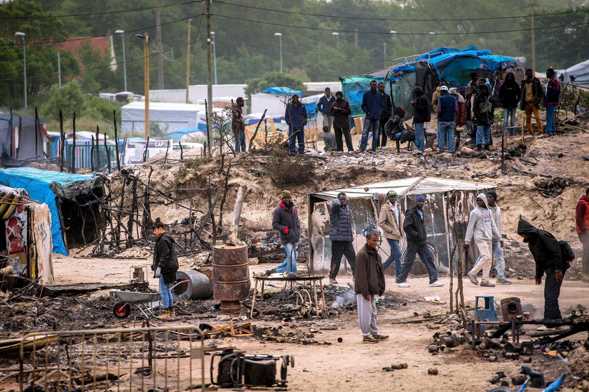 Sprzedawali dokumenty migrantom. Gang fałszerzy rozbity!