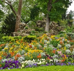 12 tys. zł dla rencistki za wejście do parku. Sanepid uchyla karę administracyjną