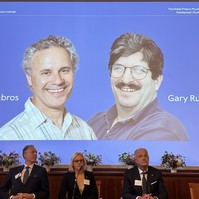 Megvan, kiknek ítélték oda az orvosi Nobel-díjat