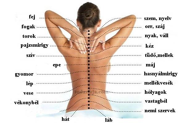 jobb lapocka fájdalom lelki okai