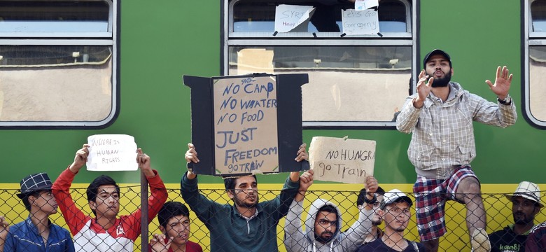 Imigranci nie chcą zostać na Węgrzech. Demonstracje i głodówki