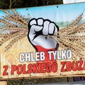 Agroholdingi oligarchów. Z kim mierzą się polscy rolnicy?