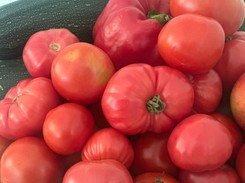 Co zrobić, żeby zielone pomidory dojrzały?