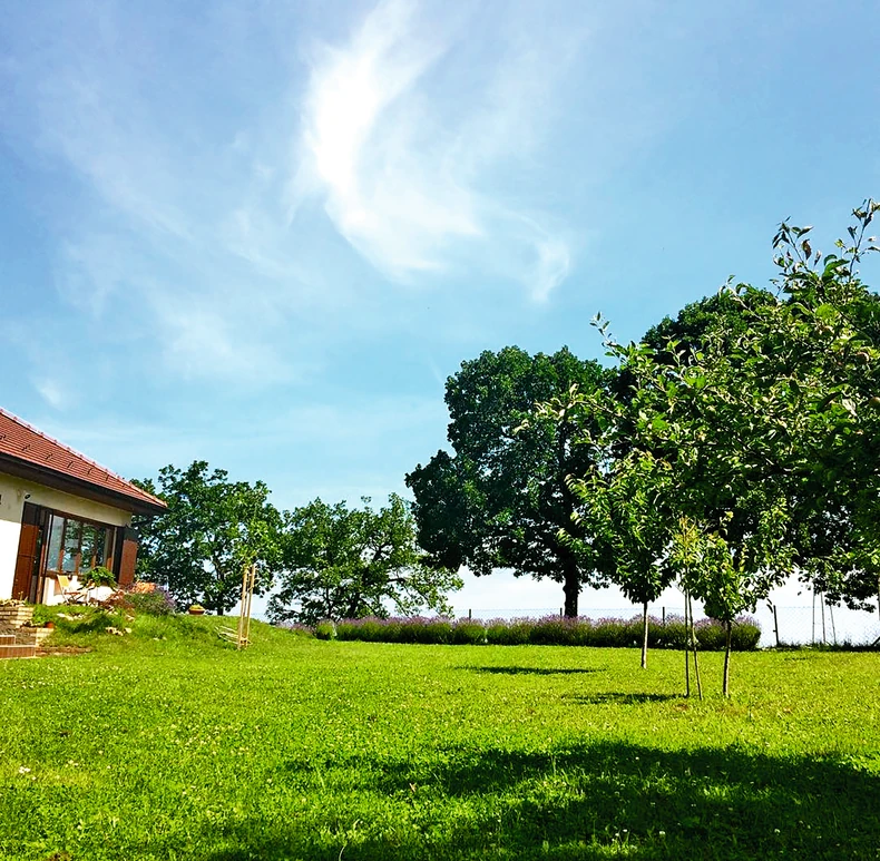 Sloboda Mićalović i Vojin Ćetković, dom