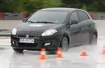 Polacy kupują oczami - Fiat Bravo kontra VW Golf, Peugeot 308, Renault Megane i Skoda Octavia