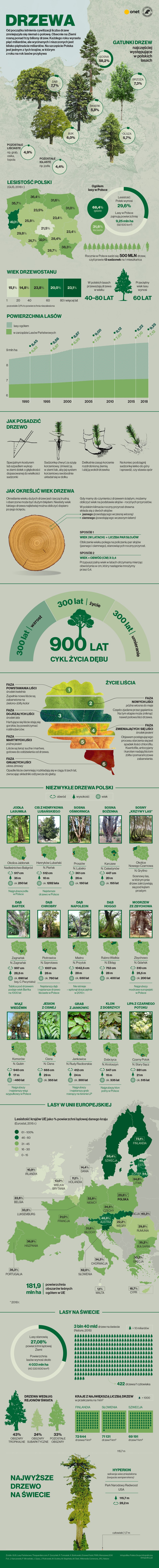 Drzewa w Polsce i na świecie