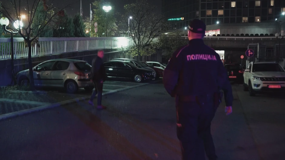 Anastasija Ražnatović, Ceca show