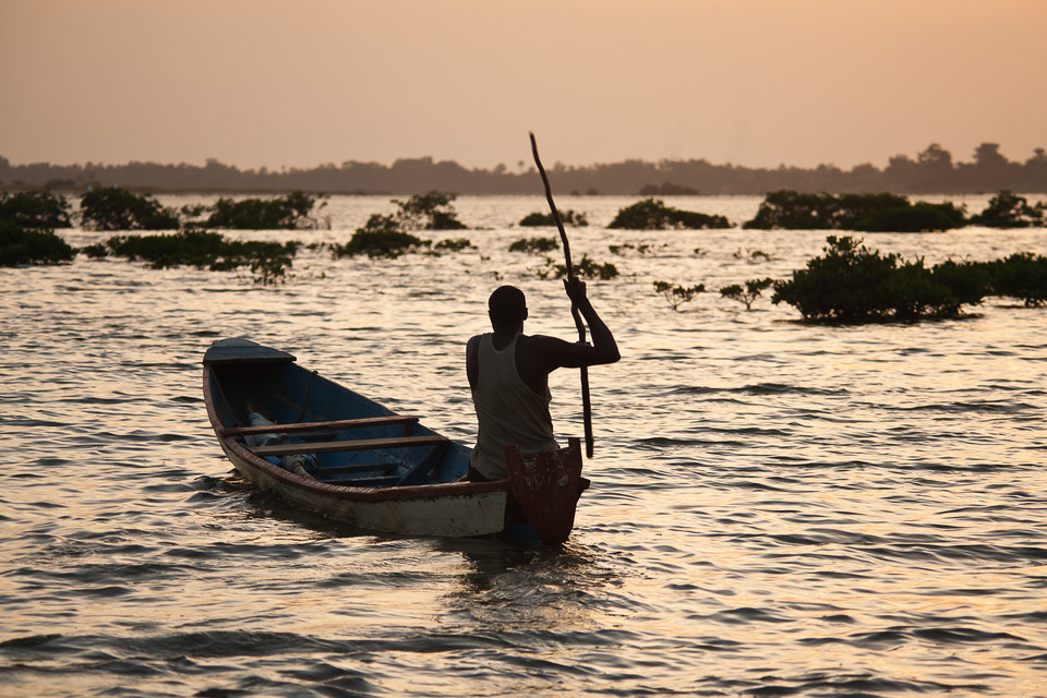 Senegal - zatoka Saloum