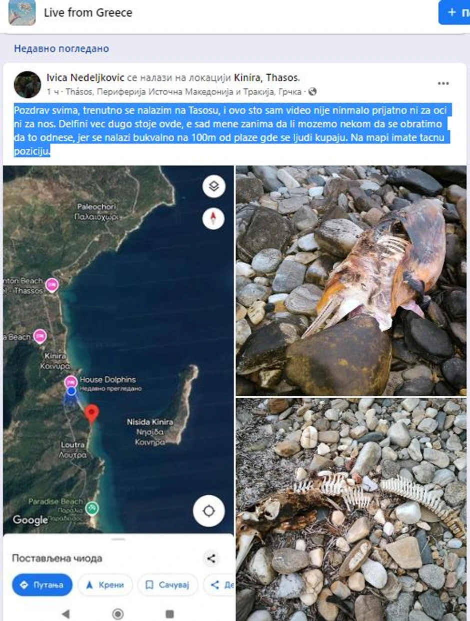 Užasan prizor na Tasosu