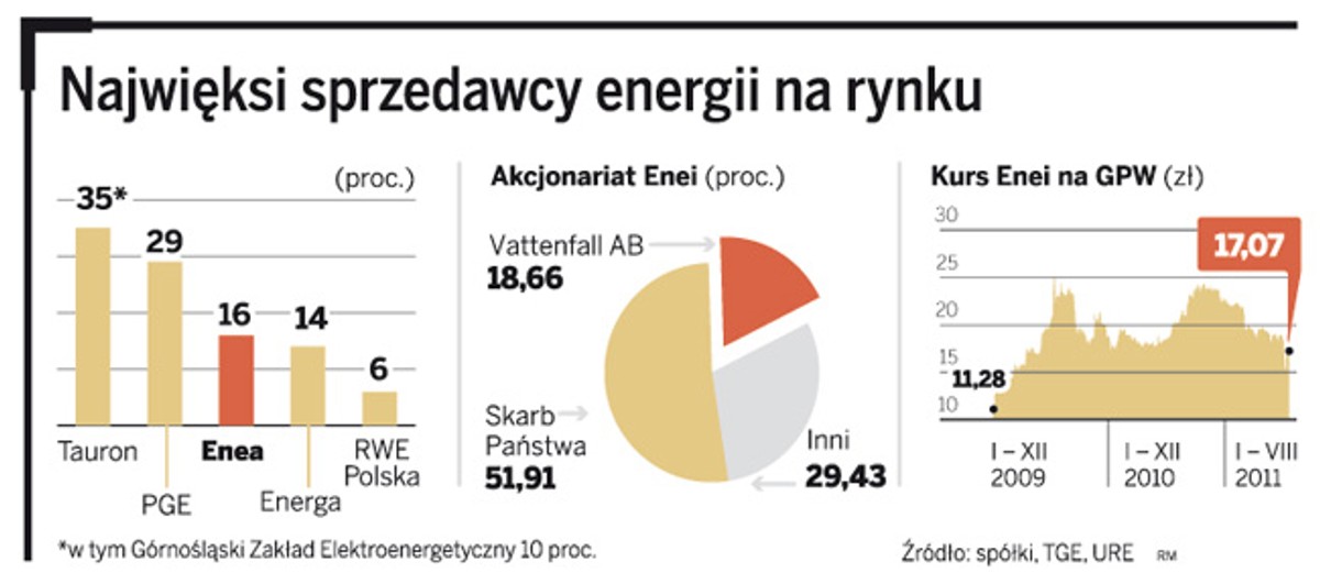 Najwięksi sprzedawcy energii na rynku.