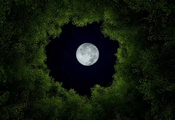 Księżyc Jesiotrów odkryje wszystkie tajemnice. Na niebie zobaczysz go w ten piątek