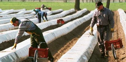 Gdzie za granicą znajdziesz pracę na lato?