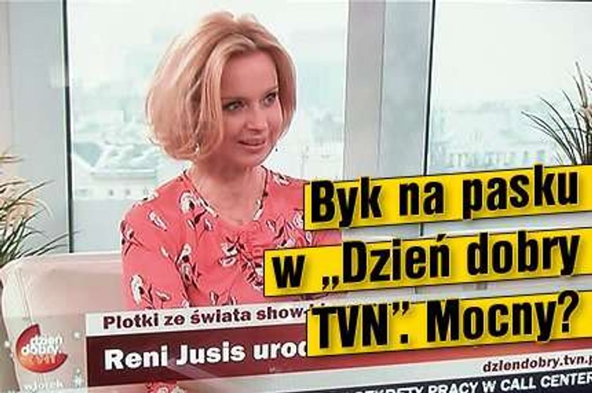 Byk na pasku w "Dzień dobry TVN". Mocny?