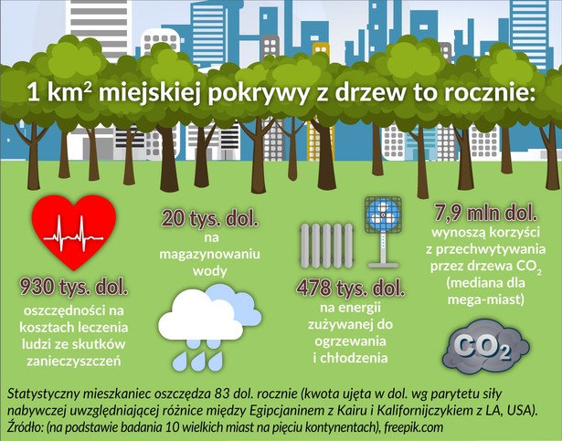 Drzewa_inwestycje-miejskie_oszczedności (graf. Obserwator Finansowy)