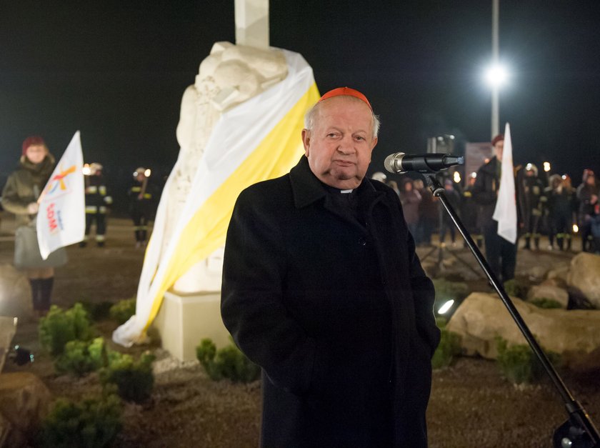 Kardynał Stanisław Dziwisz, metropolita krakowski