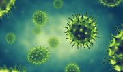 Ranking najgroźniejszych wirusów odzwierzęcych. Mogą wywołać kolejną pandemię?