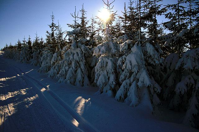 Galeria Polska - Beskid Śląski, obrazek 18