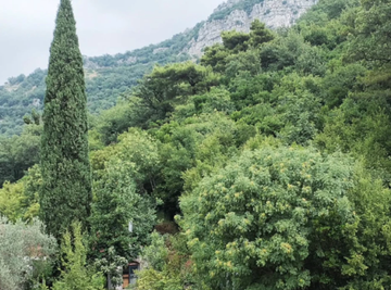 BEŽI IZ GRADA U ŠUMU: Ćerka POZNATOG GLUMCA uživa u IZOLOVANOJ VIKENDICI - jedva se razaznaje od grana, pogled na zelenilo NEMA CENU! (FOTO)