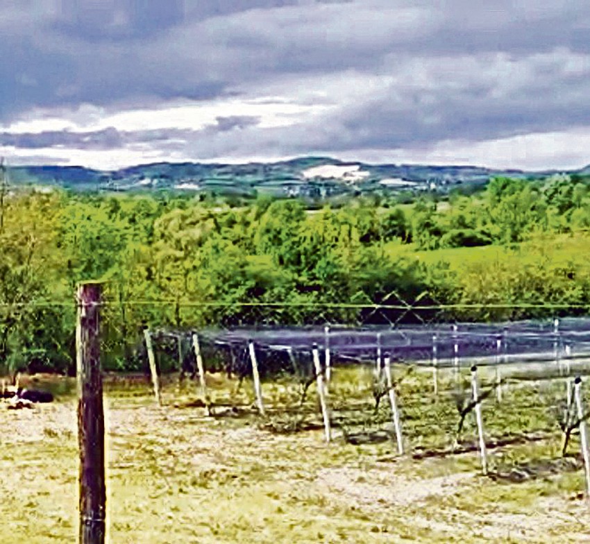 VIP SELJACI Marko Kešelj