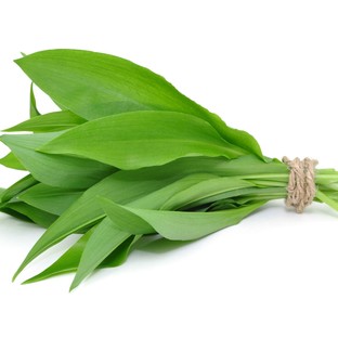Medvehagyma – több, mint egy ízletes fűszernövény