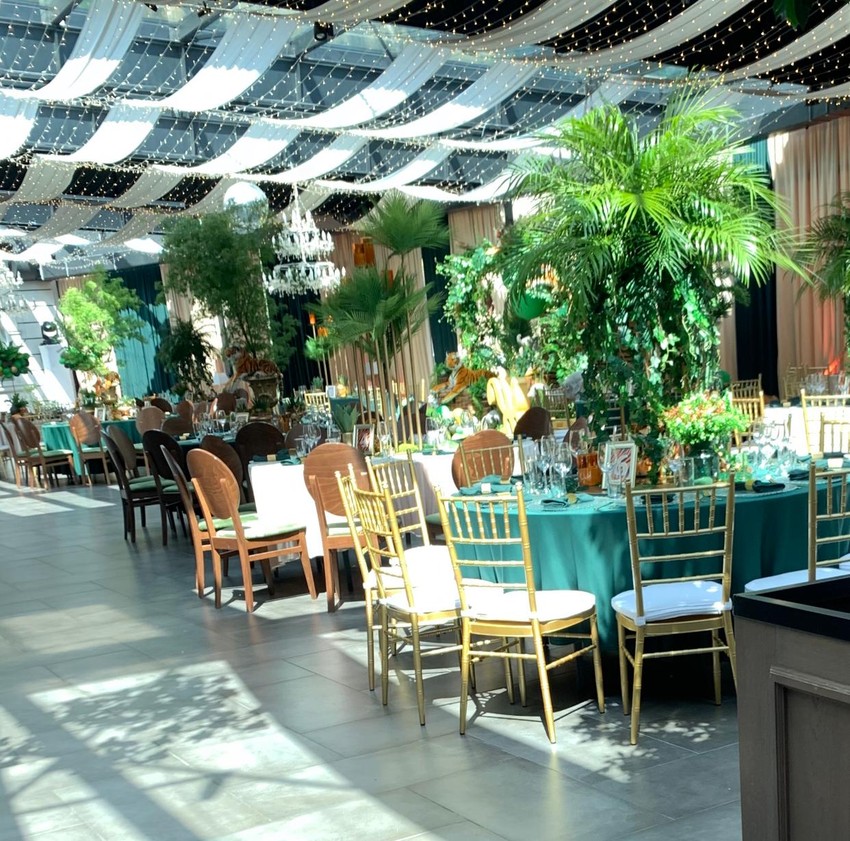 Željko Ražnatović rođendan