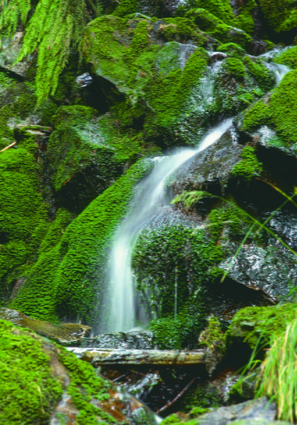 Źródło Białej Wisełki, Beskidy, Park Krajobrazowy Beskidu Śląskiego