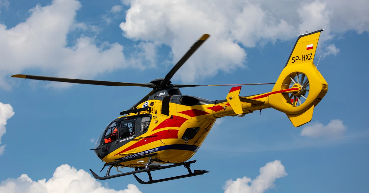 Bus uderzył w drzewo. Ranni wszyscy pasażerowie