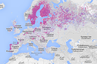 Global Forest Watch lasy mapa