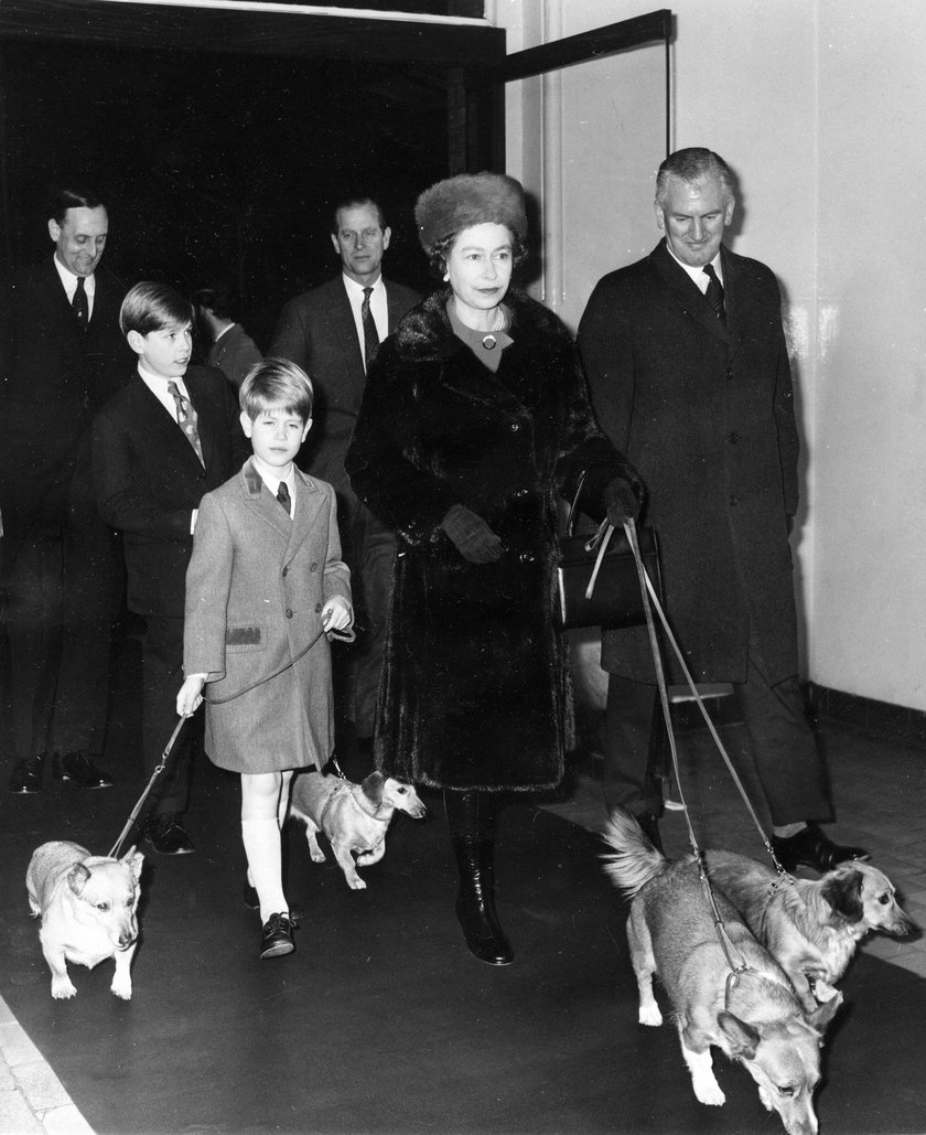 Wielka Brytania: zmarł pies królowej Elżbiety II - Vulcan rasy dorgi