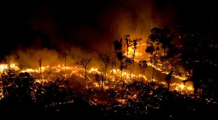 Látványos térképen mutatjuk, hány magyarországnyi területen lángol az Amazonas