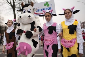 Mlekpol. Prezes UOKiK stawia zarzuty. „Grozi mu kara do 3 proc. rocznego obrotu”