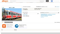 Pandemia przyspieszyła rozwój polskiego rynku e-commerce [RAPORT]
