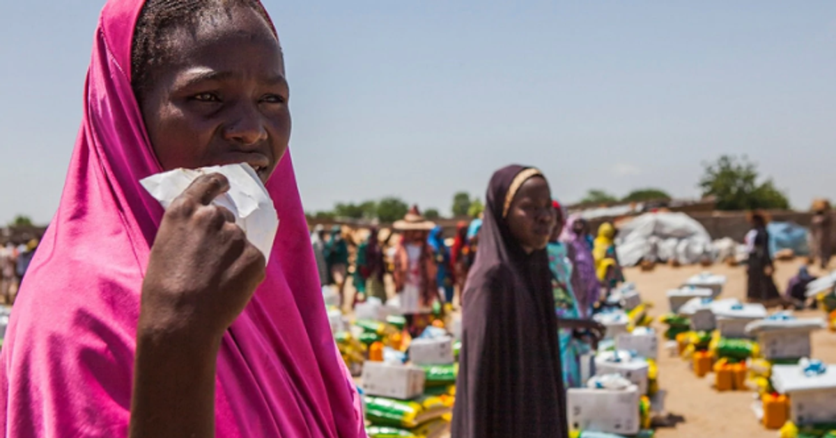 WFP pledges to commit $2.5bn to fight hunger in Nigeria - Vimarsana News