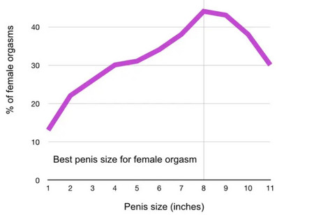Kiderült, mekkora az ideális méret a nők örömszerzése szempontjából