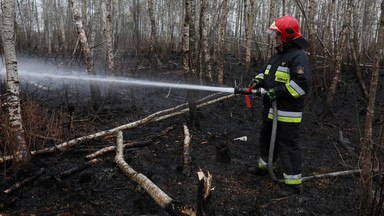 Pożar w Biebrzańskim Parku Narodowym. Biegły: celowe zaprószenie ognia