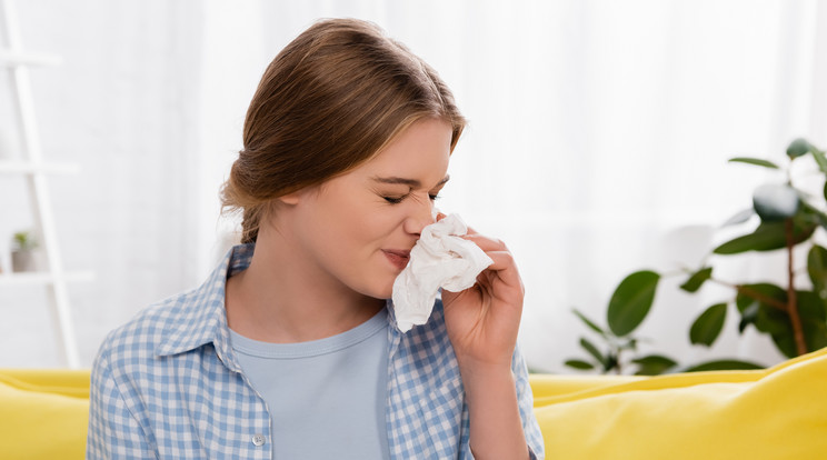Orrdugulást a pollenek, a szénanátha, a lakáson belüli allergének, de akár túlzásba vitt orrspray-használat is okozhat/Fotó: Shutterstock