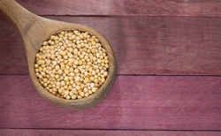 Salmonella w popularnej przyprawie. GIS ostrzega