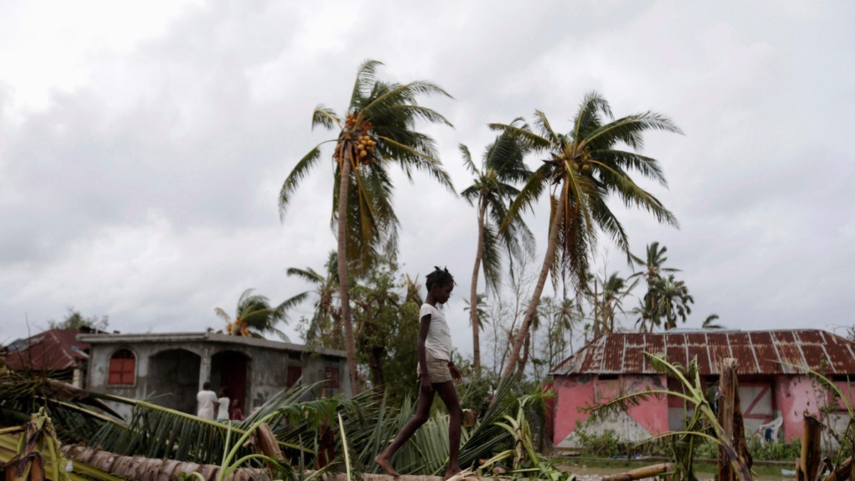 A girl walks on a tree damaged by Hurricane Matthew in Les Cayes