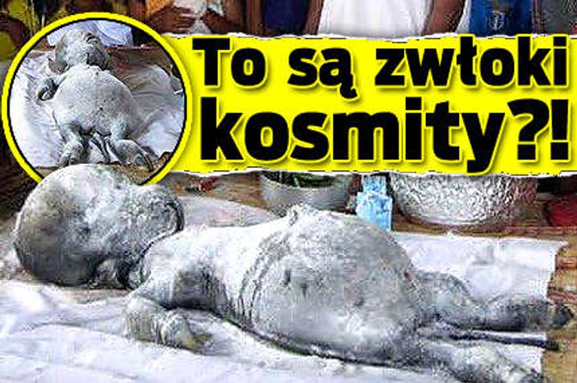 To są zwłoki kosmity?!